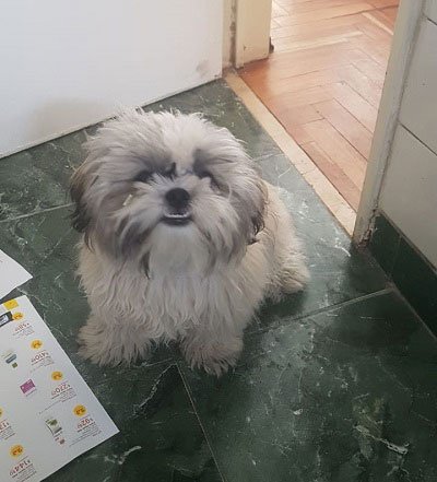 abandonado al nacer