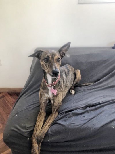 Mili en su casa