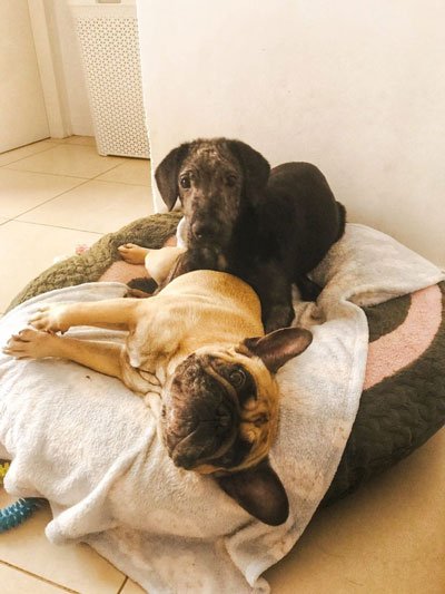 Con su primo 2