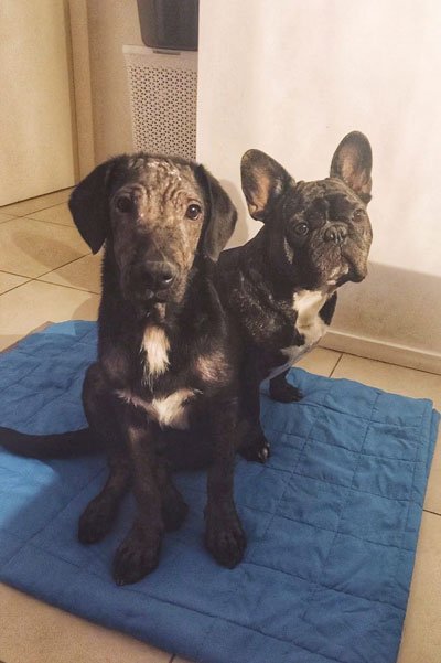 Con su primo