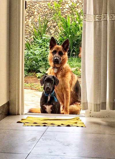Amador y Boris