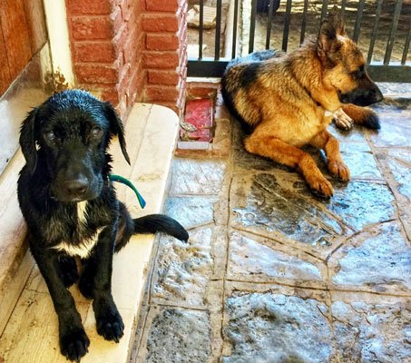 Amador y Boris